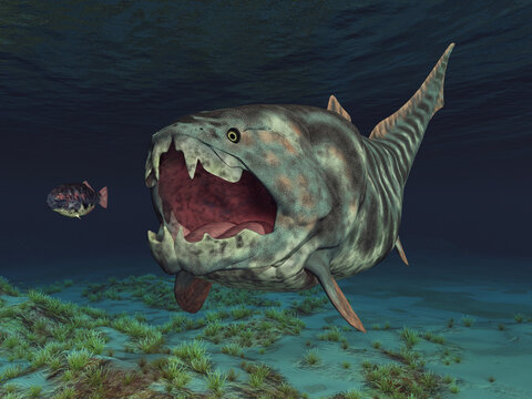 Pr&auml;historischer Fisch Dunkleosteus auf der Jagd