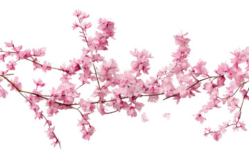 Delicate pink flowers branch isolated on transparent background showcasing soft hues and intricate petal details for elegant design