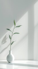 plant in a vase on the table