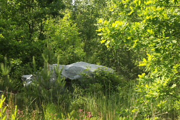 Huge stone in green forest