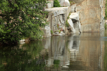 Rock in water of lake in the forest