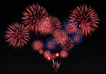 Spectacular Fireworks Display: A Night Sky Celebration
