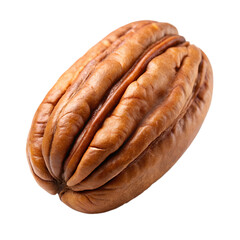 Isolated pecan nut close up for healthy snack and ingredient concept usage on transparent background
