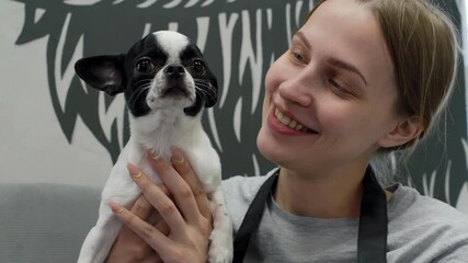 Professional veterinarian gently holding small Boston Terrier during medical checkup, examining puppy with care and communicating with compassionate approach