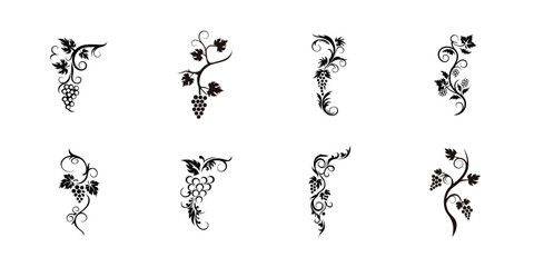 Set of artistic grapevine silhouettes with delicate swirling tendrils and natural leaves, ideal for winery branding, packaging, decor, and illustration use

