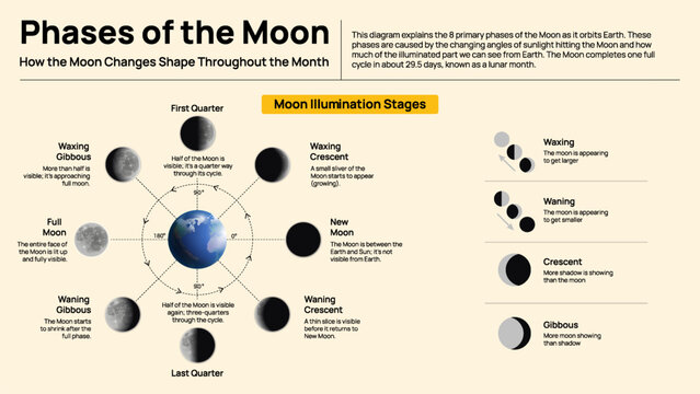 Moon Phases in Detail - Understanding the Cycle Through Visual Learning