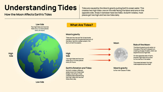 Understanding Tides - Earth&rsquo;s Water Movement Due to Gravitational Pull