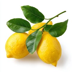 A close-up shot of three fresh lemons on a leafy branch. The bright yellow fruit are vibrant and inviting