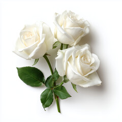Stunning White Roses Bouquet - Elegant Floral Arrangement , PNG isolated cut out image