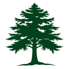 cedar tree silhouette