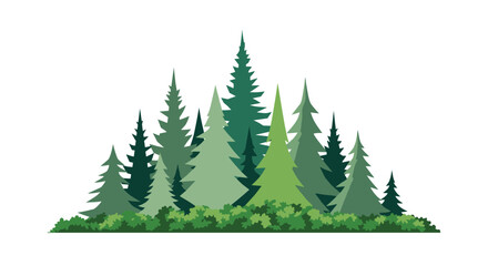 Obraz premium A Diverse Forest of Pine and Evergreen Trees