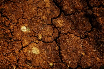 Cracked Dry Soil Shows Dryness and Natural Texture in Warm Earthy Colors, Perfect for illustrating concepts like the natural environment