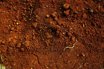 Cracked Dry Soil Shows Dryness and Natural Texture in Warm Earthy Colors, Perfect for illustrating concepts like the natural environment
