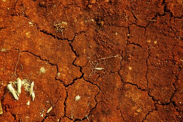 Cracked Dry Soil Shows Dryness and Natural Texture in Warm Earthy Colors, Perfect for illustrating...
