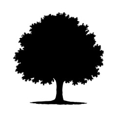 Fototapeta premium Oak tree silhouette isolated on white background. Tree logo, Distinct Leaf Shape Artistic Design.Vector icon.