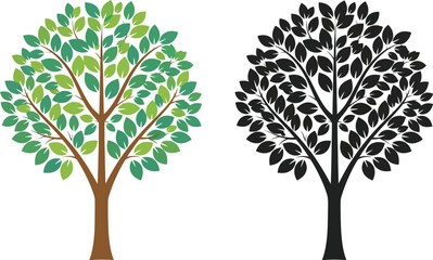Fototapeta premium Two trees one in color with green leaves and one in black and white on a white background