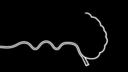 Abstract brain illustration with wavy lines and simple shapes. Brain drawing shows creative thinking process. Stylish brain image for psychology or neuroscience presentations.