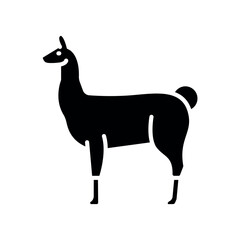 llama black flat icon for digital and print projects. South american animals.