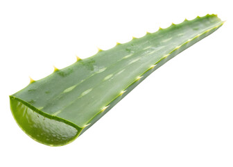 A single green aloe vera leaf isolated on transparent background