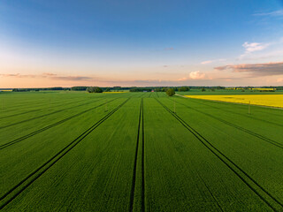 Aerial view of grain fields during beautiful sunset