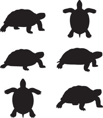Collection of Turtle Silhouettes in Various Poses