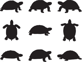 Collection of Turtle Silhouettes in Various Poses
