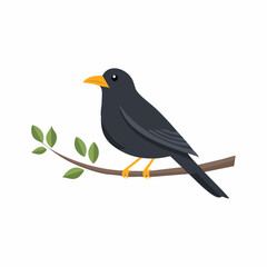 Obraz premium Blackbird Perched on a Branch A Detailed Illustration