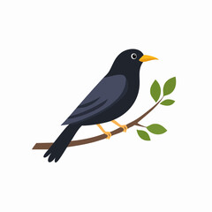Obraz premium Charming Blackbird Perched on Branch A Delightful Bird Illustration