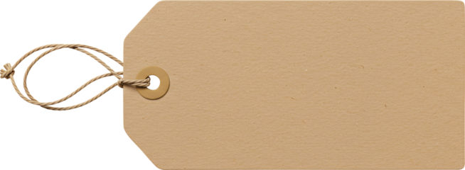 Rustic Kraft Paper Tag with Twine and Reinforced Eyelet Detail.