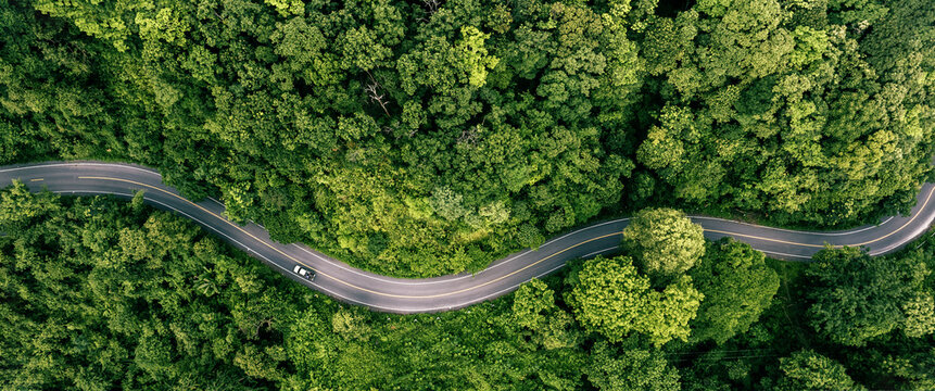 Road in the middle of the forest , trees with red and orange leaves , Beautiful landscape view from flying drone in Nature