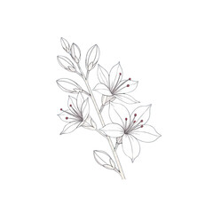 flower icon vector decorative element