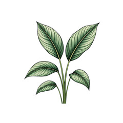 green leaves isolated on white background