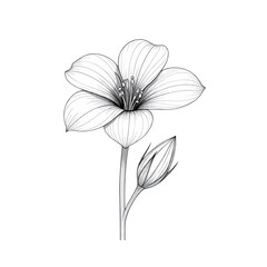 Obraz premium flower icon vector decorative element