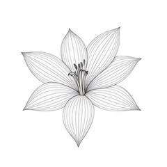 flower icon vector decorative element