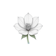 Obraz premium flower icon vector decorative element