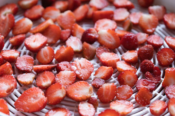 fruit dehydrator with fresh strawberry for home preserved food