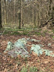 Müll im Wald