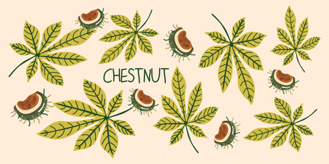 Natural autumn fall bright background with cute cartoon chestnut. Organic harvest contemporary banner. Autumn chestnut and leaves for cute cozy design