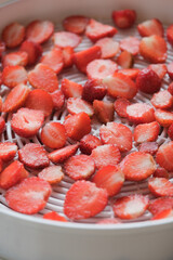 fruit dehydrator with fresh strawberry for home preserved food