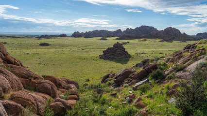 Granite rock formations in the green steppe of Ikh Gazriin Chuluu, Mongolia