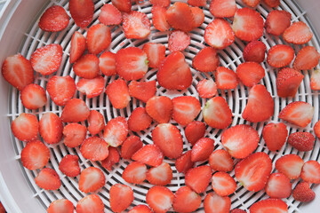 fruit dehydrator with fresh strawberry for home preserved food