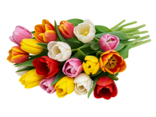 A vibrant bouquet of multi colored tulips with green leaves isolated on transparent background