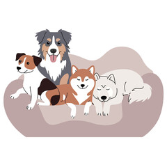 Four Dogs Relaxing Together on a Beige Dog Bed puppy puppies