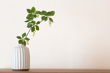 ドウダンツツジ