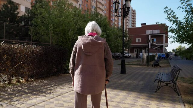 A view from the back of an old grandmother with gray hair who walks with a cane along an alley in the park. Slow motion. An old grandmother walks slowly and limps in the city.