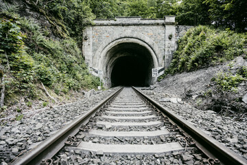 A railway tunnel entrance reveals a dark void surrounded by lush greenery. Metal tracks lead...