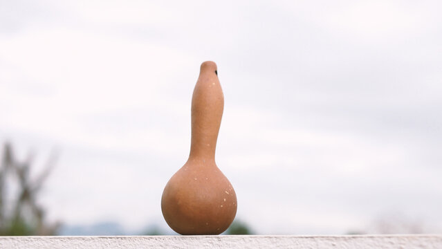 Close-up of dried gourd turned brown. Small vintage dried gourd. Gourd for craft. Standing on white wall. For home decoration. Agriculture concept