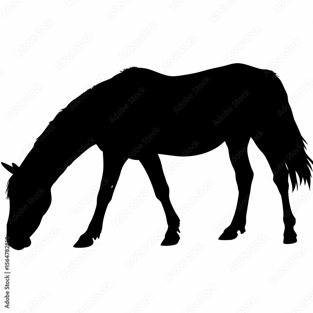 Poster silhouette of a horse grazing in a field with its head down eating grass in a black and white image 