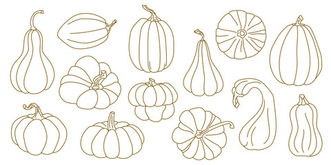 Set of hand-drawn outline pumpkins in elegant linear style Autumn vegetable collection with different squash and gourd shapes Ideal for cards, prints, packaging, farm market labels, Thanksgiving decor