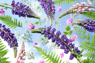 Composition of purple lupins flowers and green ferns on a mirror with sky reflection. Bright floral flat lay with natural light and dreamy atmosphere. Top view